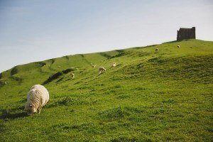 chesil beach engagement photos