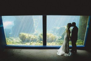 bristol zoo underwater portraits bride and groom