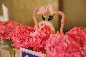flamingo flowers