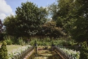 A tranquil garden scene with a narrow pond filled with lily pads, flanked by lush green hedges and an array of blooming flowers. Tall trees border the garden under a clear blue sky, creating a peaceful atmosphere perfect for capturing by documentary wedding photographers.