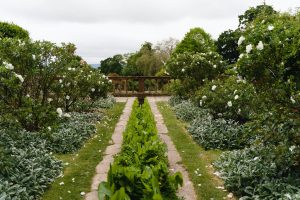 hestercombe gardens view